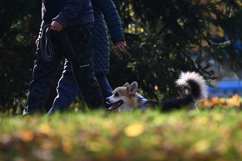 Russia Daily Life