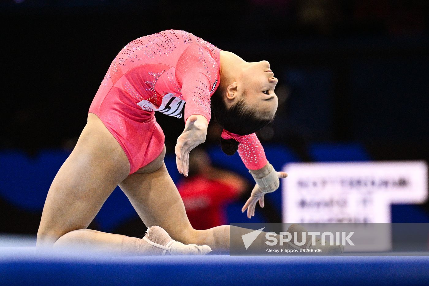 Netherlands Artistic Gymnastics World Championships Qualifiers