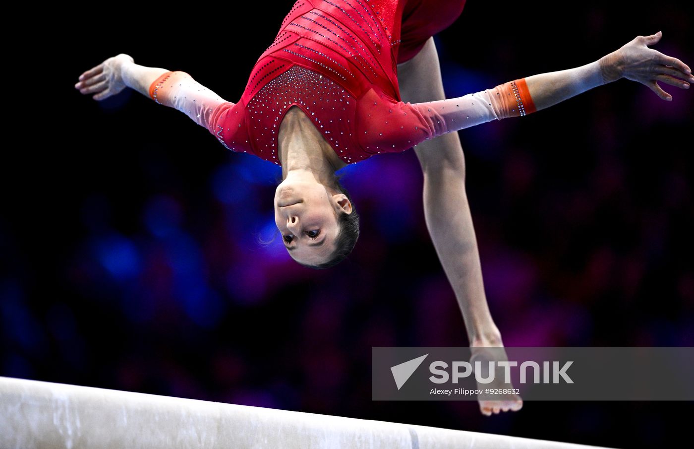 Netherlands Artistic Gymnastics World Championships Qualifiers