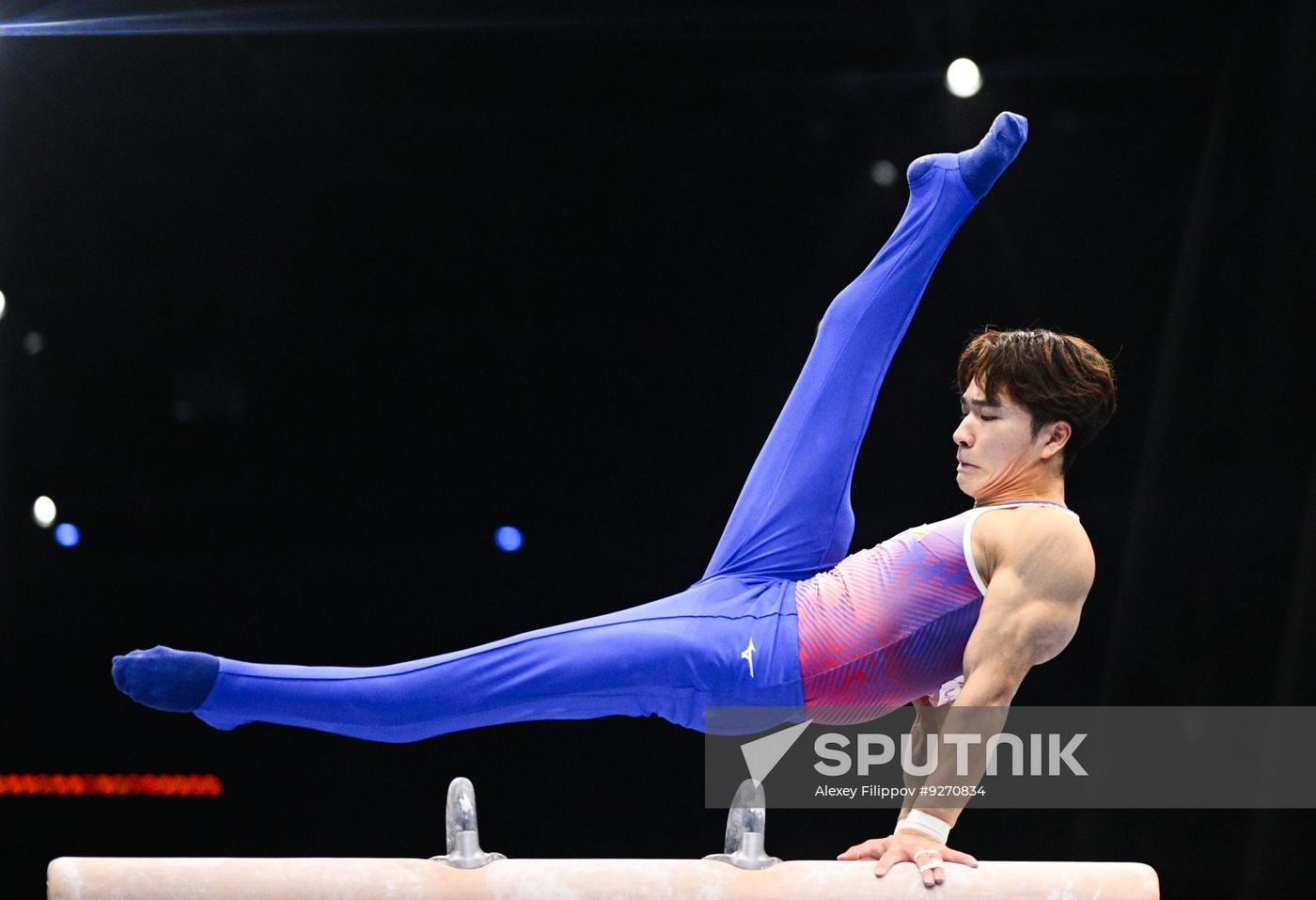 Netherlands Artistic Gymnastics World Championships