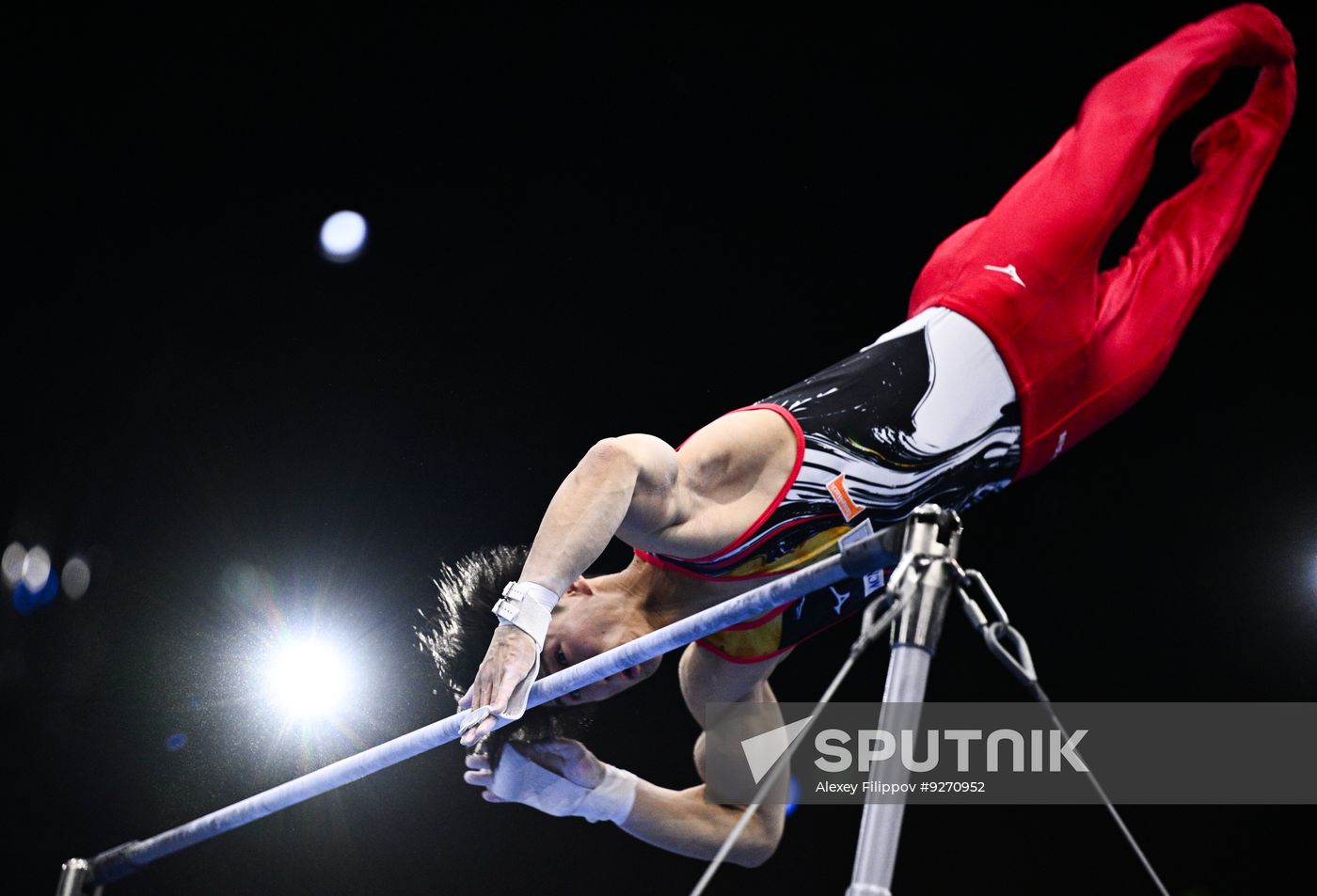 Netherlands Artistic Gymnastics World Championships