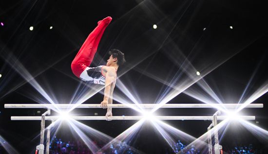 Netherlands Artistic Gymnastics World Championships