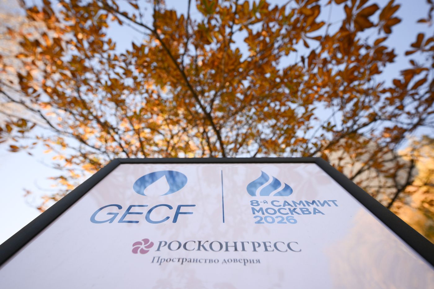 Preparations for Gas Exporting Countries Forum