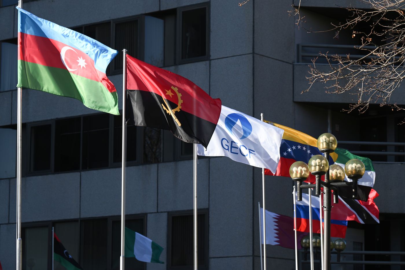 Preparations for Gas Exporting Countries Forum