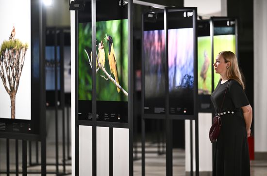 Russia Golden Turtle Wildlife Festival