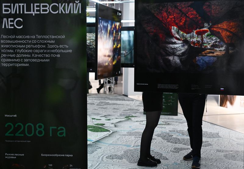 Russia Golden Turtle Wildlife Festival