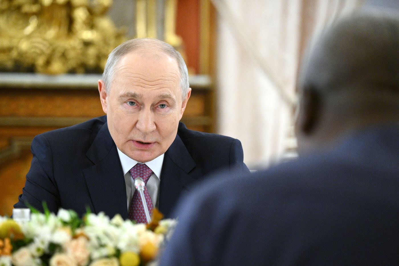 President of Russia Vladimir Putin meets with President of the Republic of Ghana John Dramani Mahama